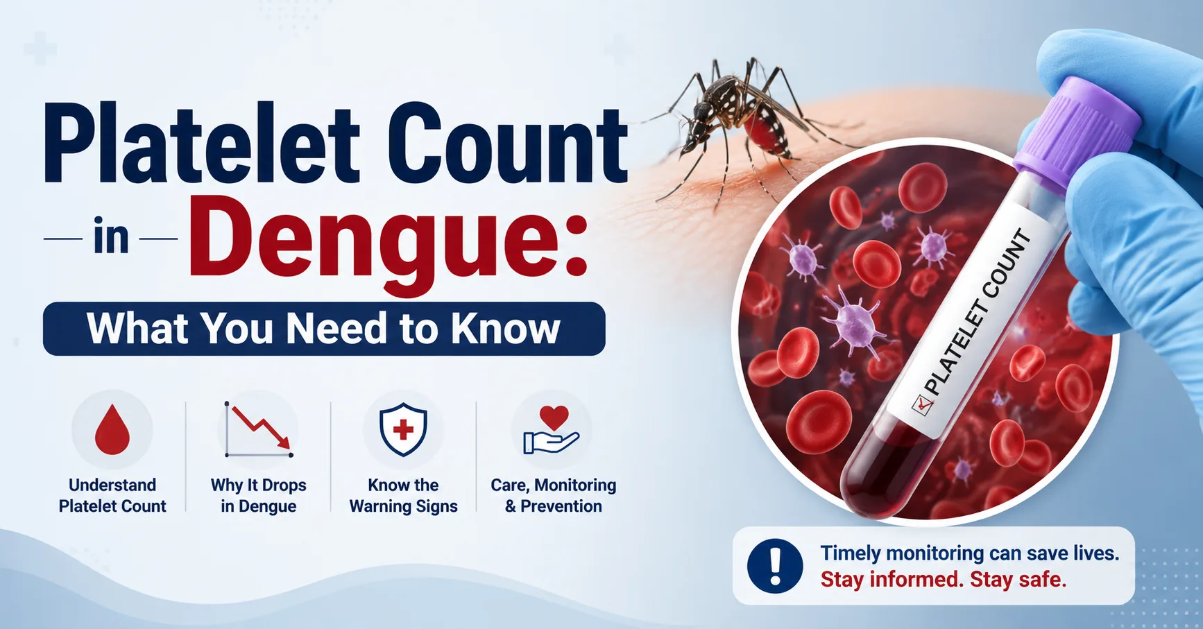 Platelet Count in Dengue: Symptoms, Risks & Recovery
